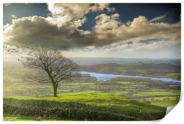 A view of Tittesworth Reservoir  Print by Andy Evans
