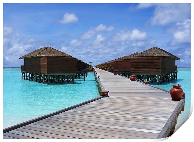 Maldives Water villas Print by Andy Evans