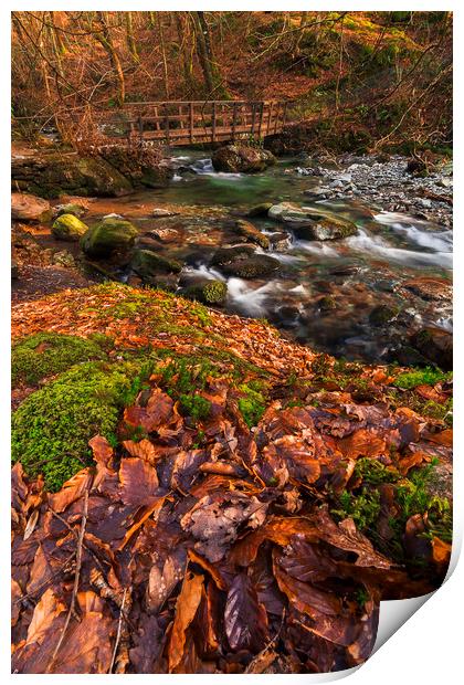 Colours Of Ambleside Print by Andy Evans