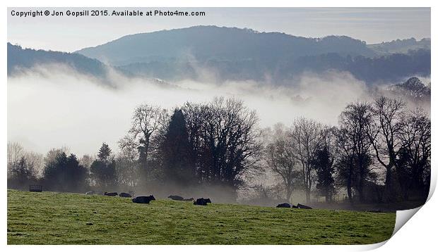  Cows In The Mist Print by Jon Gopsill