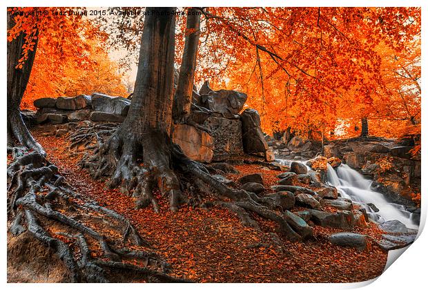  Autumn Cascade Print by Tedz Duran