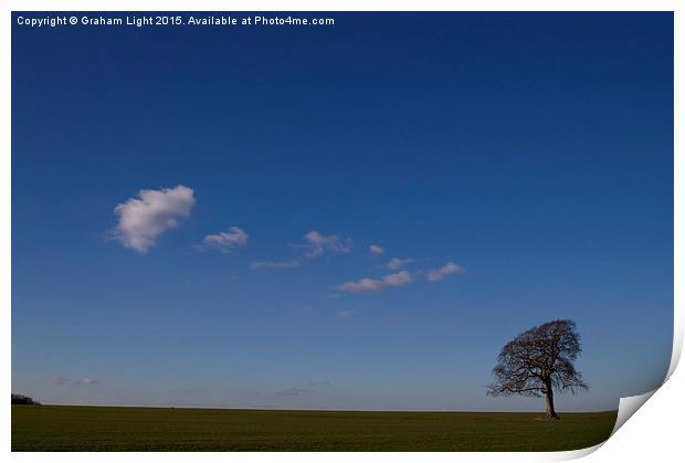  A lonely tree on an early winters morning. Print by Graham Light