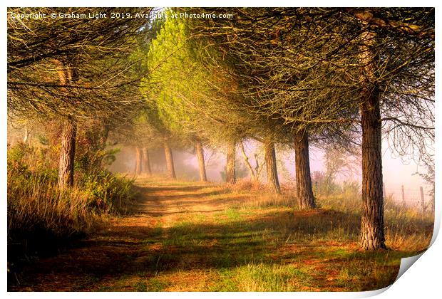 Misty morning in Tuscany Print by Graham Light
