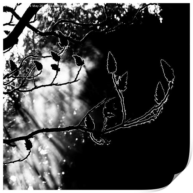 Sunshine,Smoke and Silhouette Print by Barrie May