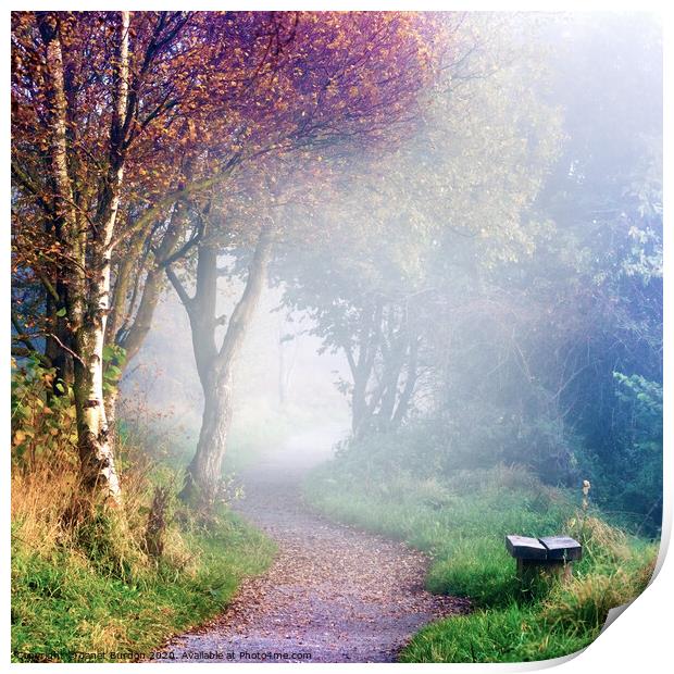 Misty Morning at Sutton Bank Print by Janet Burdon