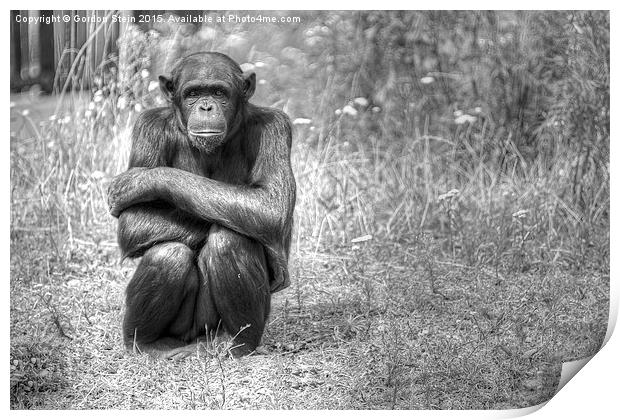  Bored Bored Bored Print by Gordon Stein