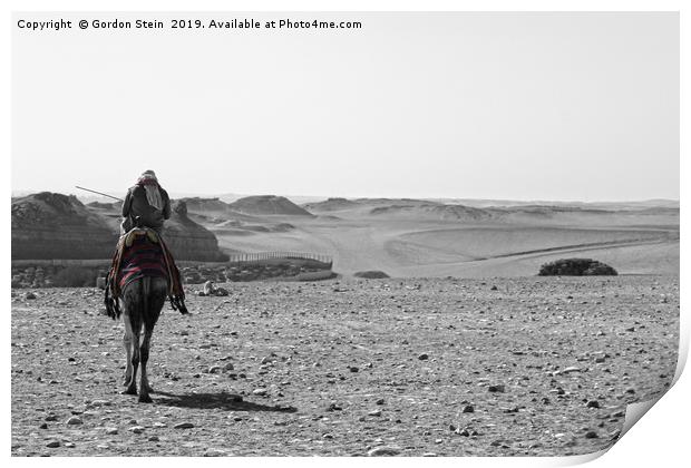 Into the Desert Print by Gordon Stein