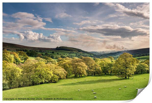 Evening Light on Bransdale Print by Richard Burdon