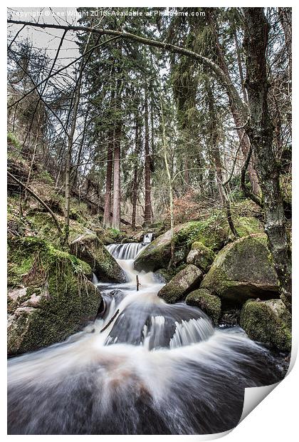  Wyming Brook Print by Lee Wright