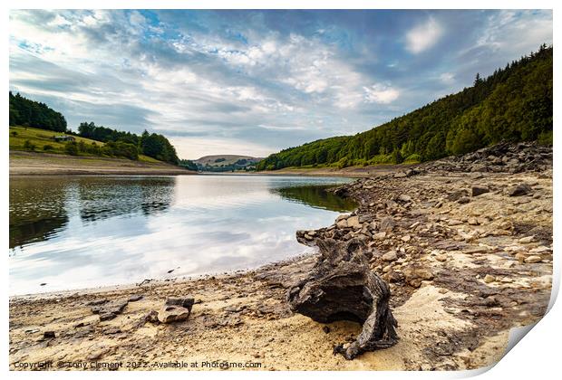 Reservoir Stump Print by Tony Clement