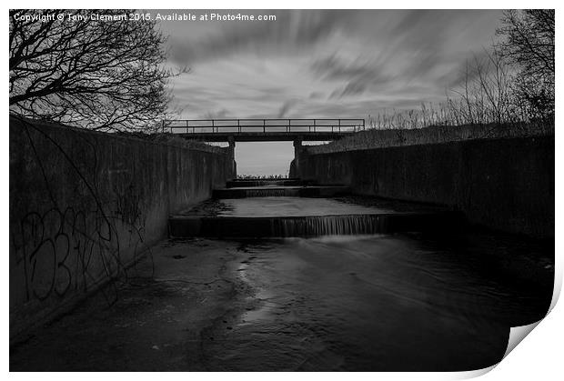  Wier Print by Tony Clement