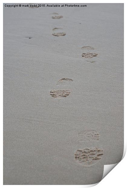  The footprints Print by mark dodd