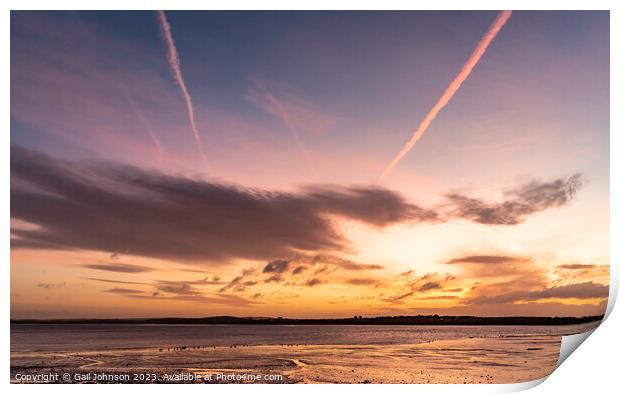 Sunrise at Penrhos Nature Park, Anglesey  Print by Gail Johnson