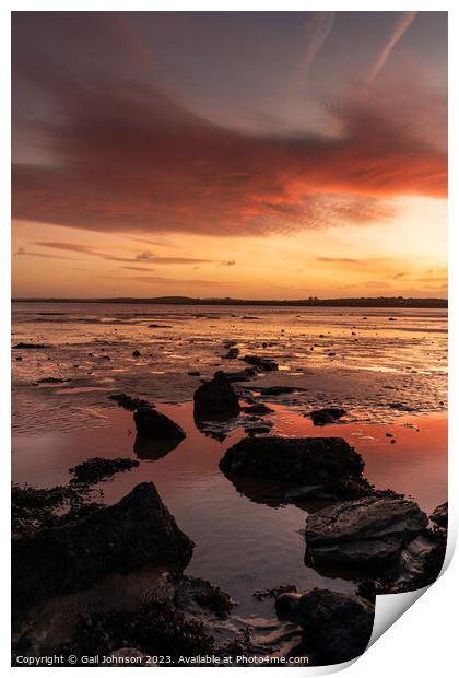 Sunrise at Penrhos Nature Park, Anglesey  Print by Gail Johnson