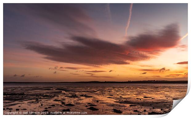 Sunrise at Penrhos Nature Park, Anglesey  Print by Gail Johnson