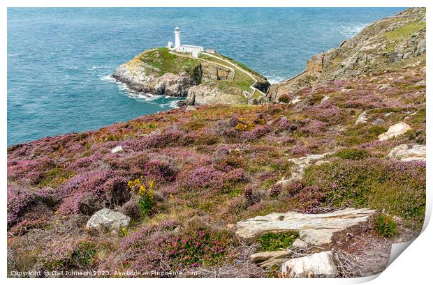 Views around South Stack lighthouse with the gorse and heather o Print by Gail Johnson