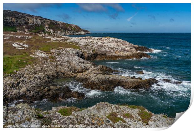 Views around Holyhead Breakwater park with the heather and gorse Print by Gail Johnson