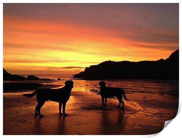 2 dogs at sunset Print by Gail Johnson