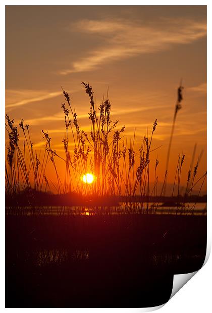 sunrise at Cae Glas Print by Gail Johnson