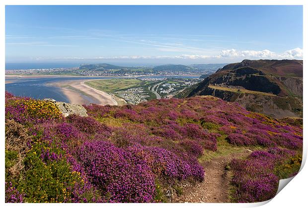 Views from Conwy Mountain Print by Gail Johnson