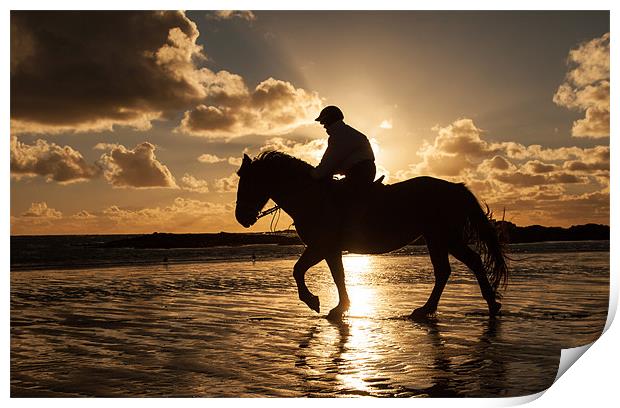 Horse on the beach Print by Gail Johnson
