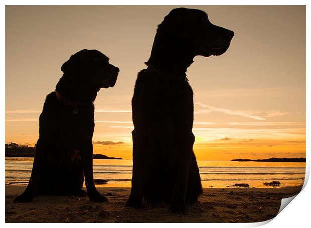 Dogs in the sunset Print by Gail Johnson