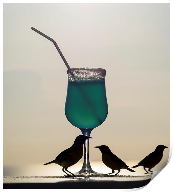 Blue Curacao Drink and birds Print by Gail Johnson
