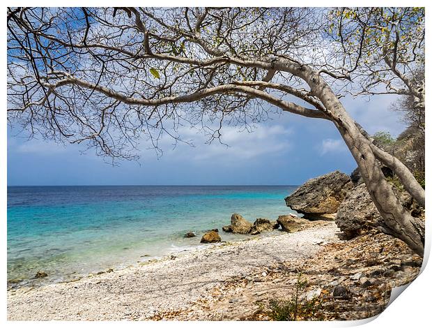 Curacao beach Print by Gail Johnson