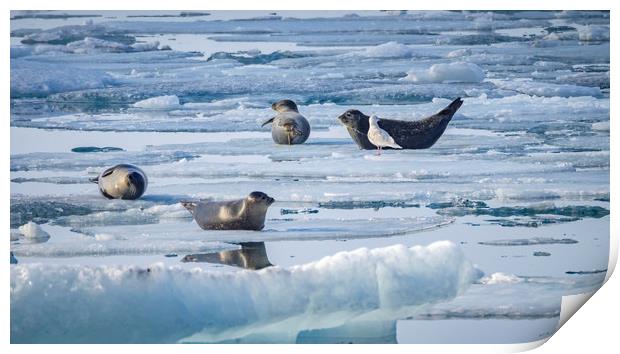 Icelandic Views Jökulsarlon glacier lagoon Print by Gail Johnson