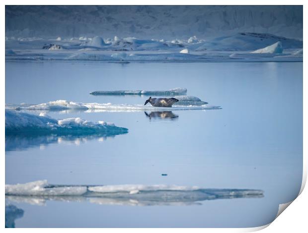 Icelandic Views Jökulsarlon glacier lagoon Print by Gail Johnson