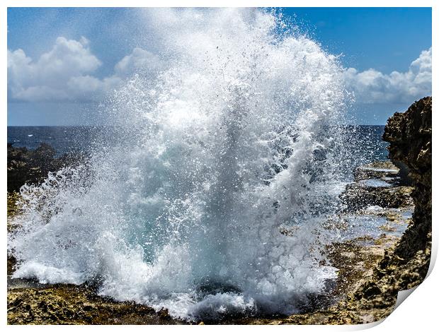   Shete Boka National park Curacao views Print by Gail Johnson