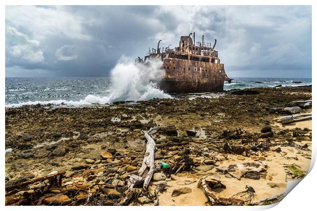 Shipwreck Print by Gail Johnson