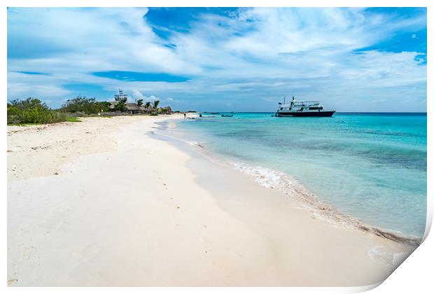   Klien Curacao Beach Views Print by Gail Johnson