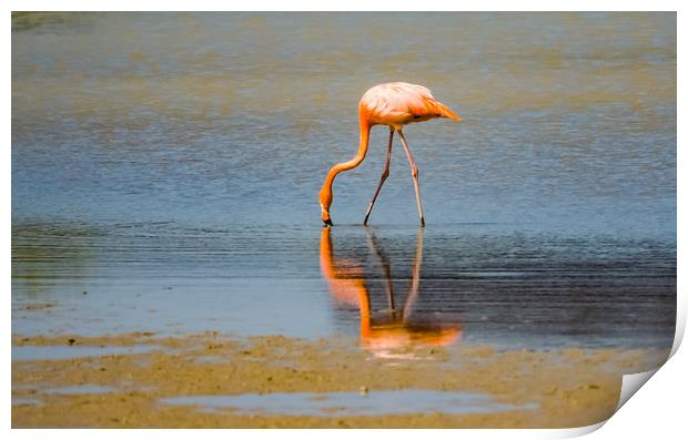  Flamingos -  Curacao Views Print by Gail Johnson