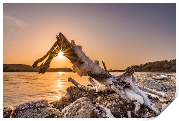 Salt pan at sunset  Print by Gail Johnson