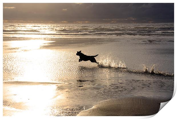 Walking around Rhosneiger coastline Print by Gail Johnson