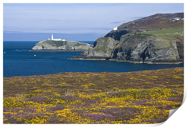 View to South Stack Print by Gail Johnson