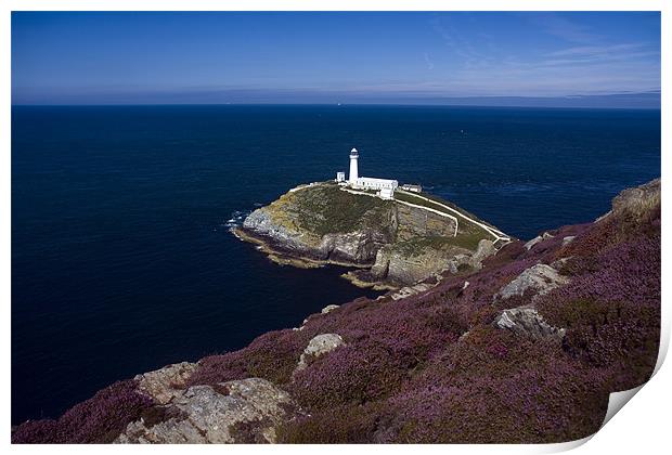 View to South Stack Print by Gail Johnson