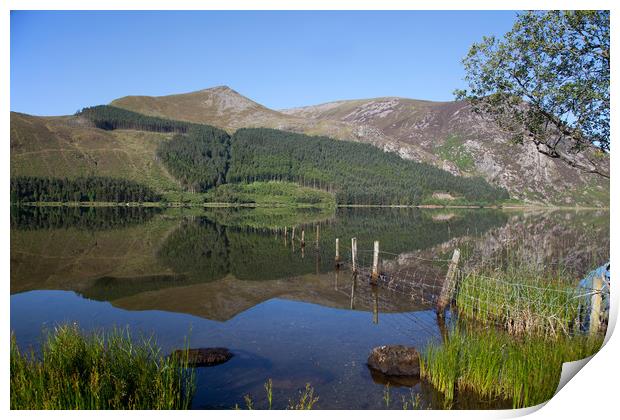 Llyn Cwellyn Print by Gail Johnson