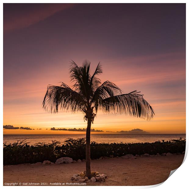 A sunset over a sandy beach next to a palm tree Print by Gail Johnson