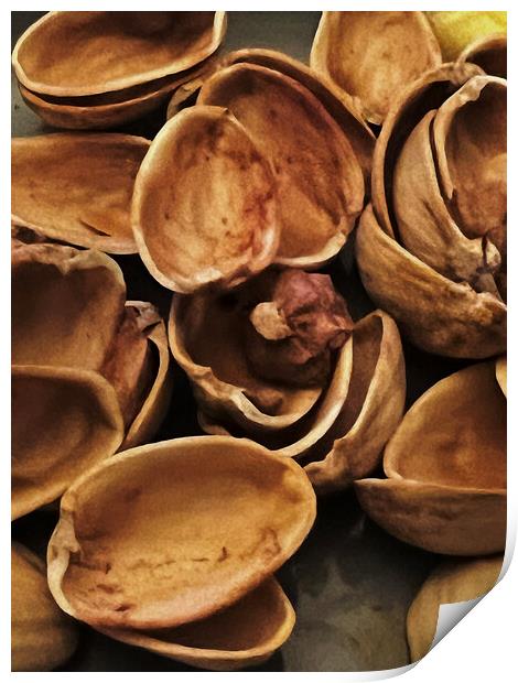Pistachio Shells Print by Glen Allen