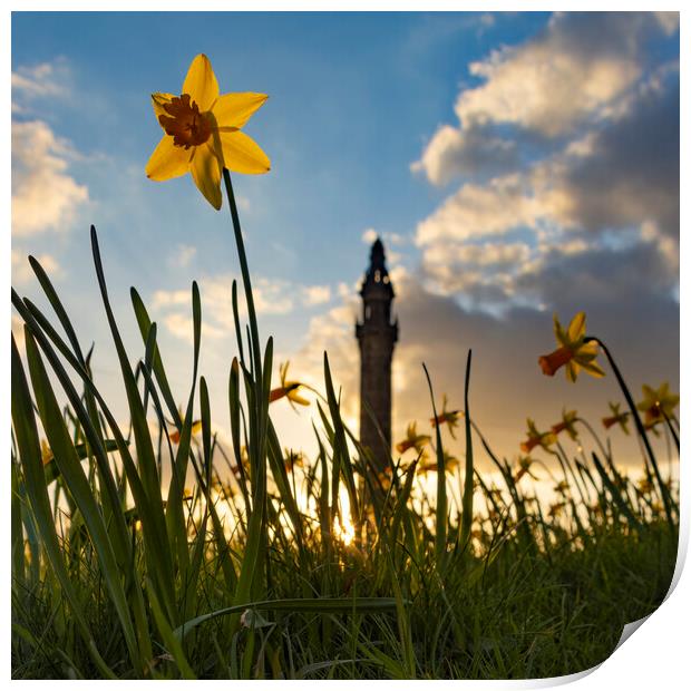 Wainhouse Tower and Daffodils 04 Print by Glen Allen