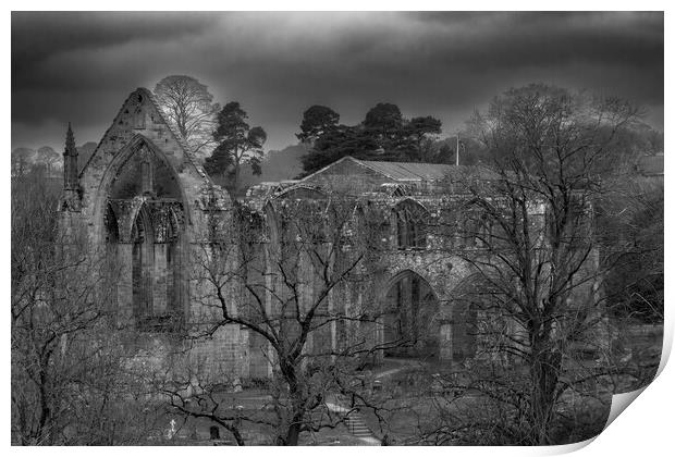 Bolton Abbey Winter Scene  Print by Glen Allen