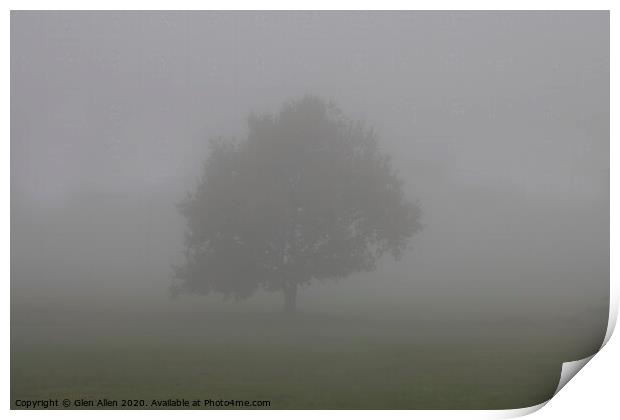 Misty Tree Print by Glen Allen