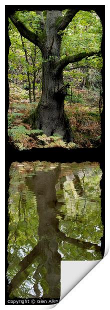 Reflected Tree in the Canal Print by Glen Allen