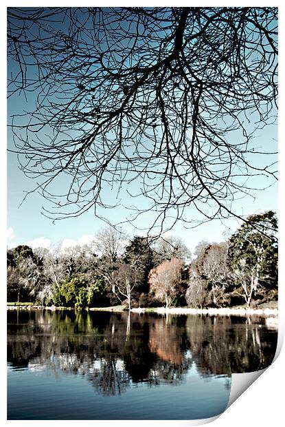 The lake, Mount Stewart Print by Stephen Maxwell