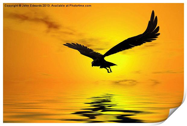 Eagle Sunset Print by John Edwards