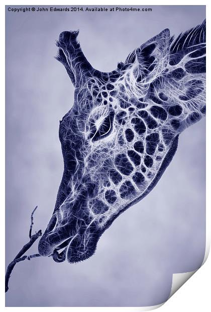 Fractal Giraffe Duotone Print by John Edwards