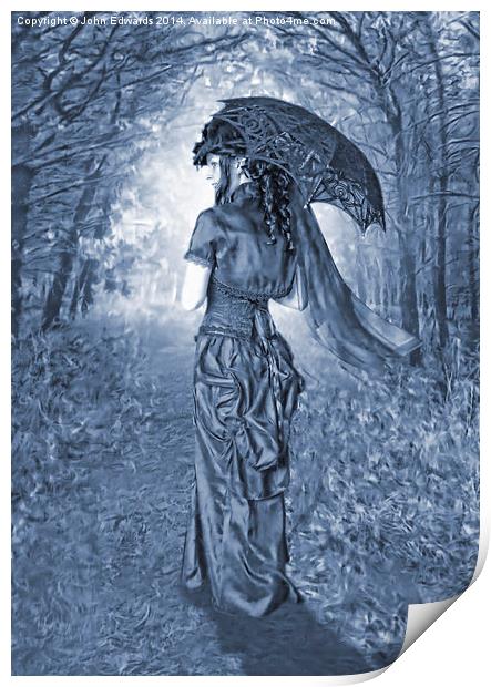 Woodland Stroll Cyanotype Print by John Edwards