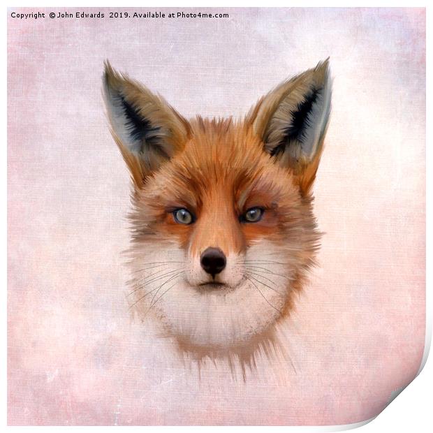 Red Fox (Vulpes vulpes) Print by John Edwards